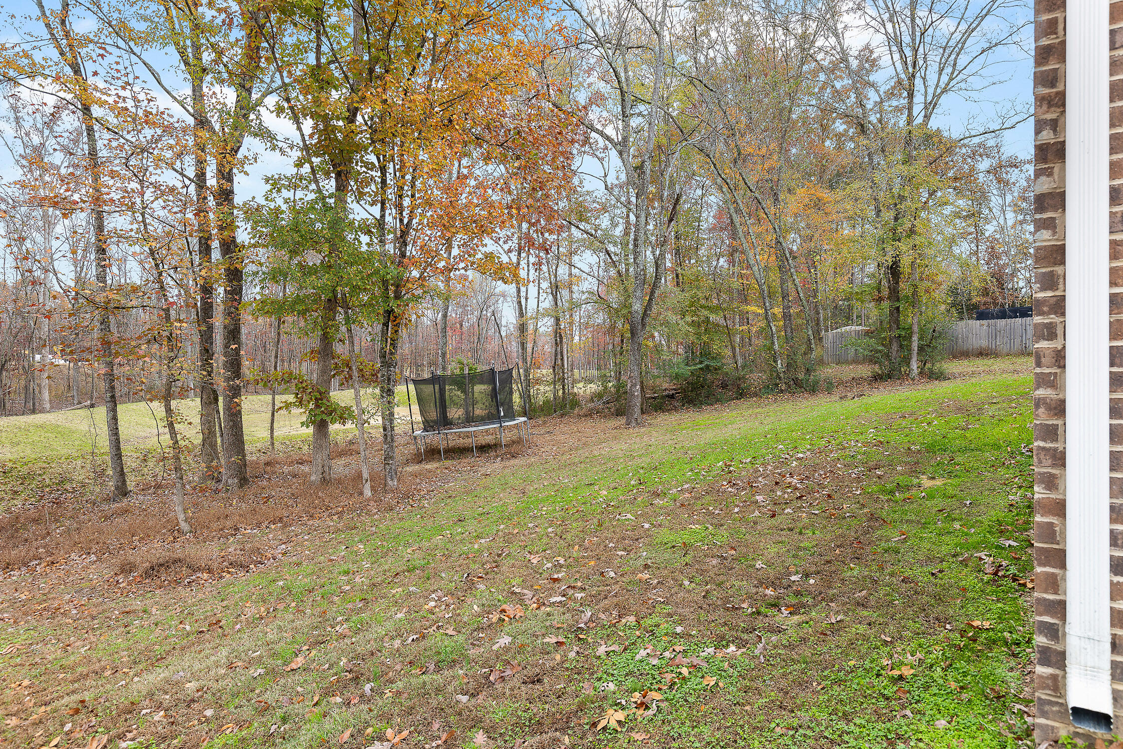 11952 Armstrong Road, Soddy Daisy, Tennessee image 38