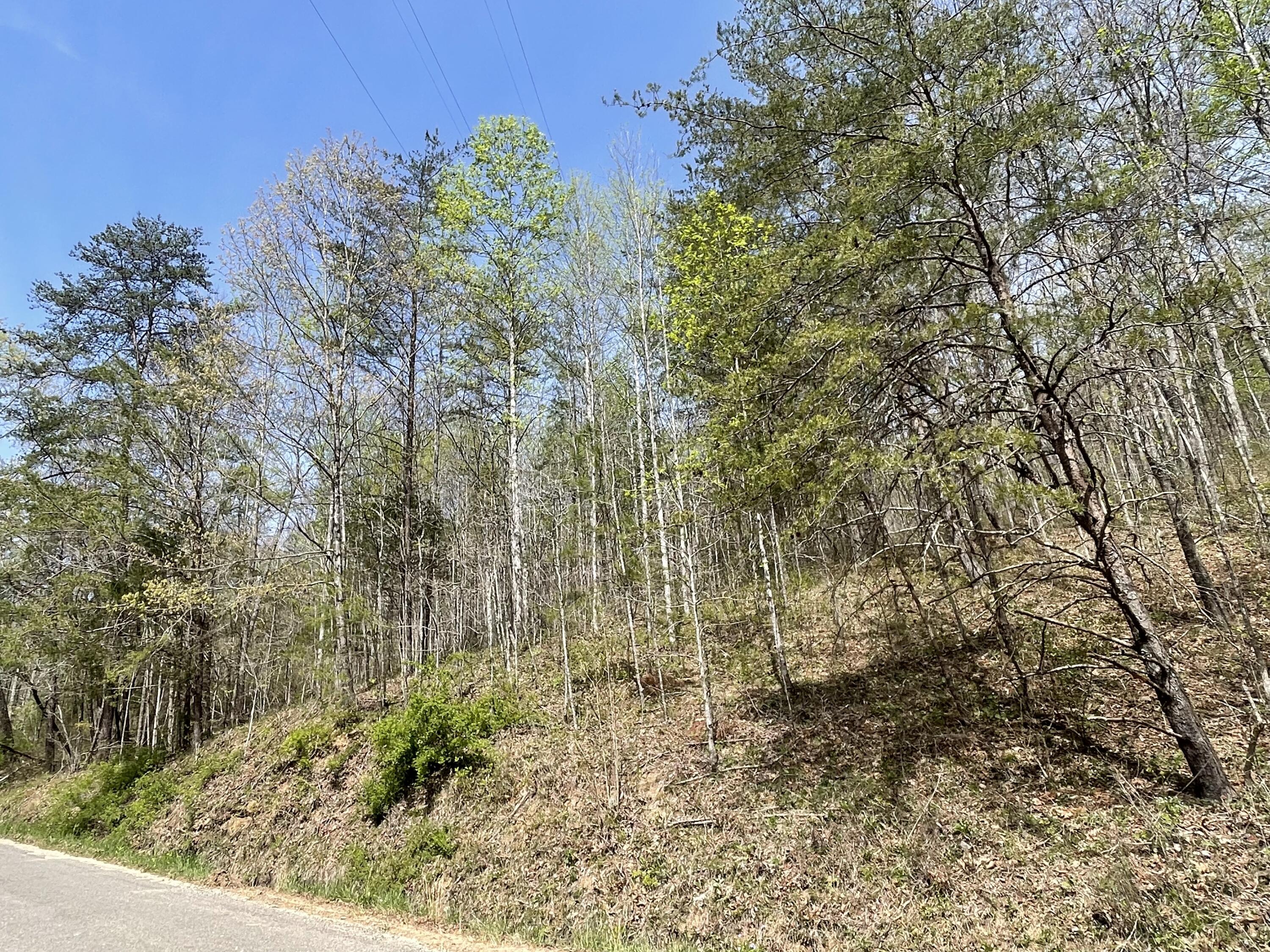 01 Brock Hollow Road, Pikeville, Tennessee image 3