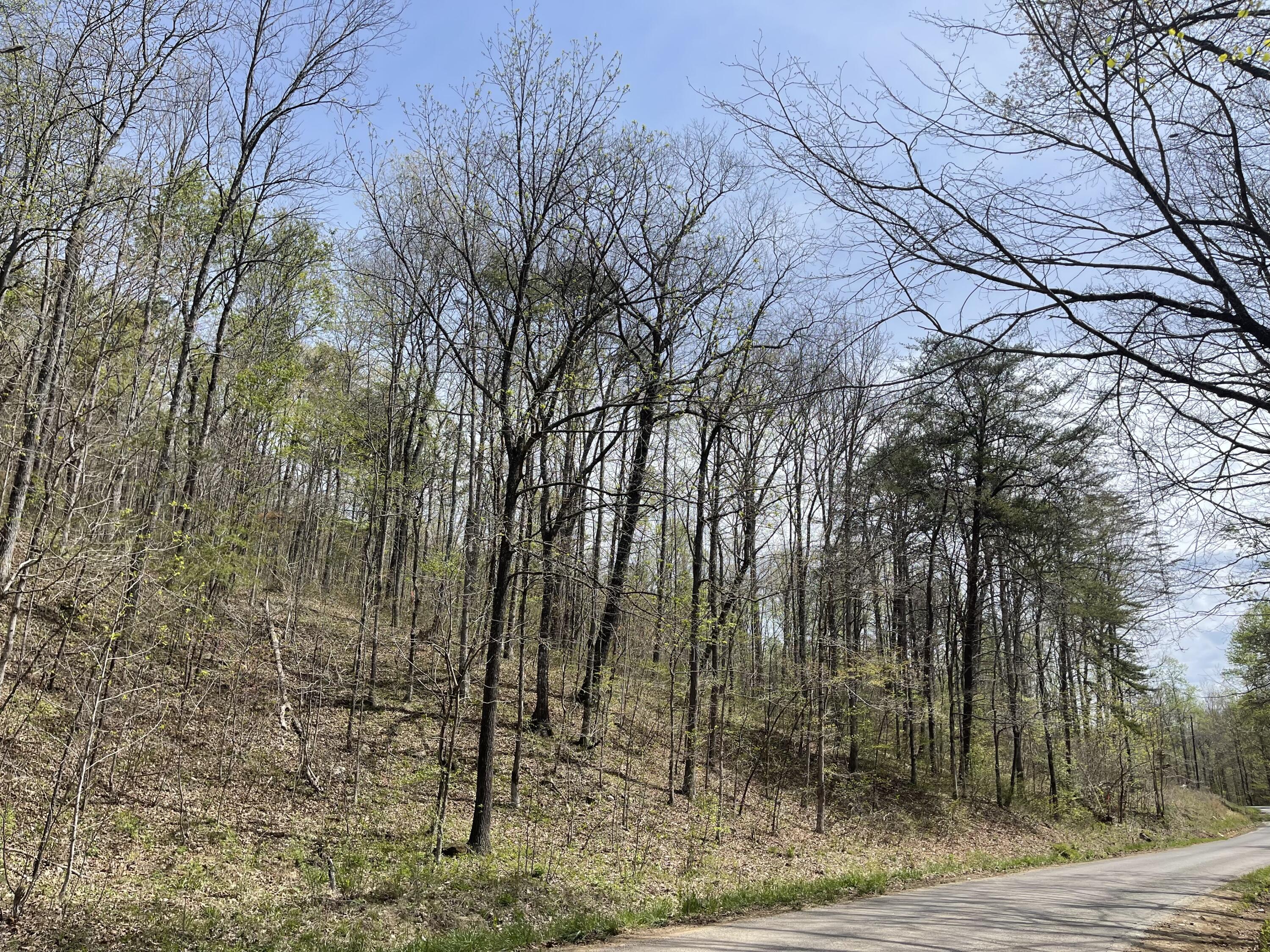 01 Brock Hollow Road, Pikeville, Tennessee image 2