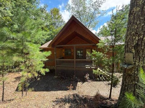 Homes For Sale - 679 Mountain View Circle<br/> Blue Ridge, GA 30513