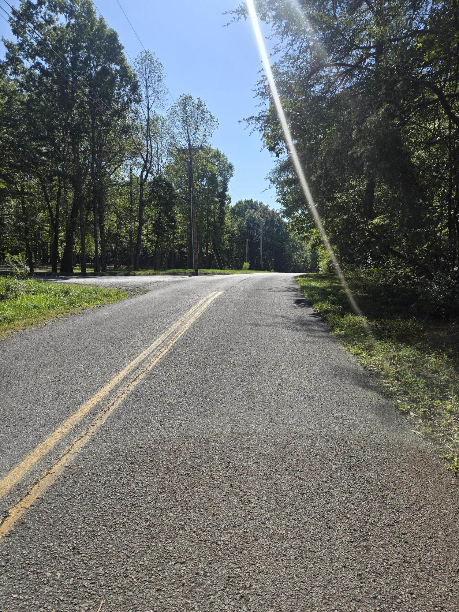 Raven Cliff Road, Graysville, Tennessee image 5