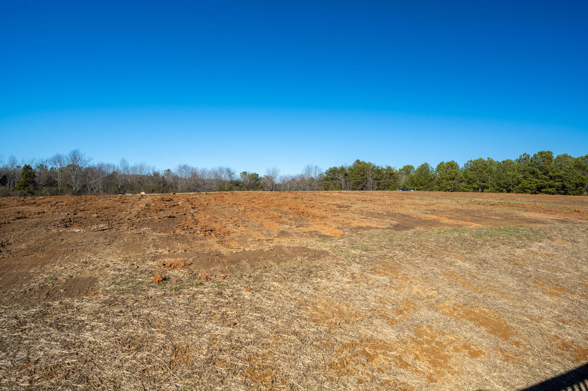 2724 Snyder Loop, Graysville, Tennessee image 6