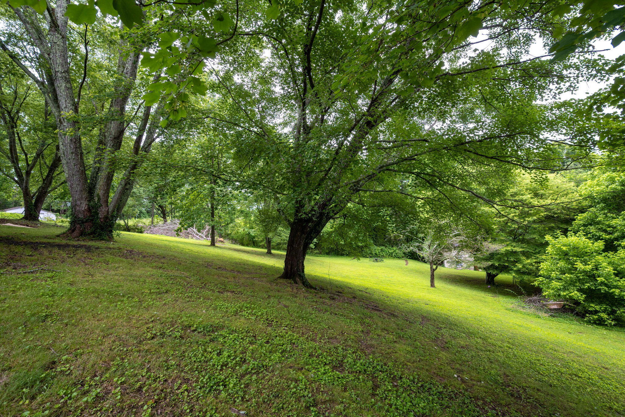 4813 Blue Bell Avenue, Ooltewah, Tennessee image 22