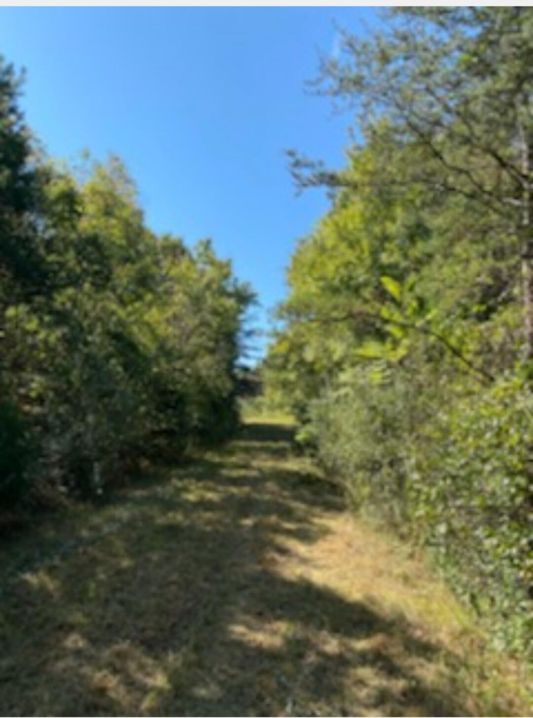 1312 Jacob Drive, Soddy Daisy, Tennessee image 29