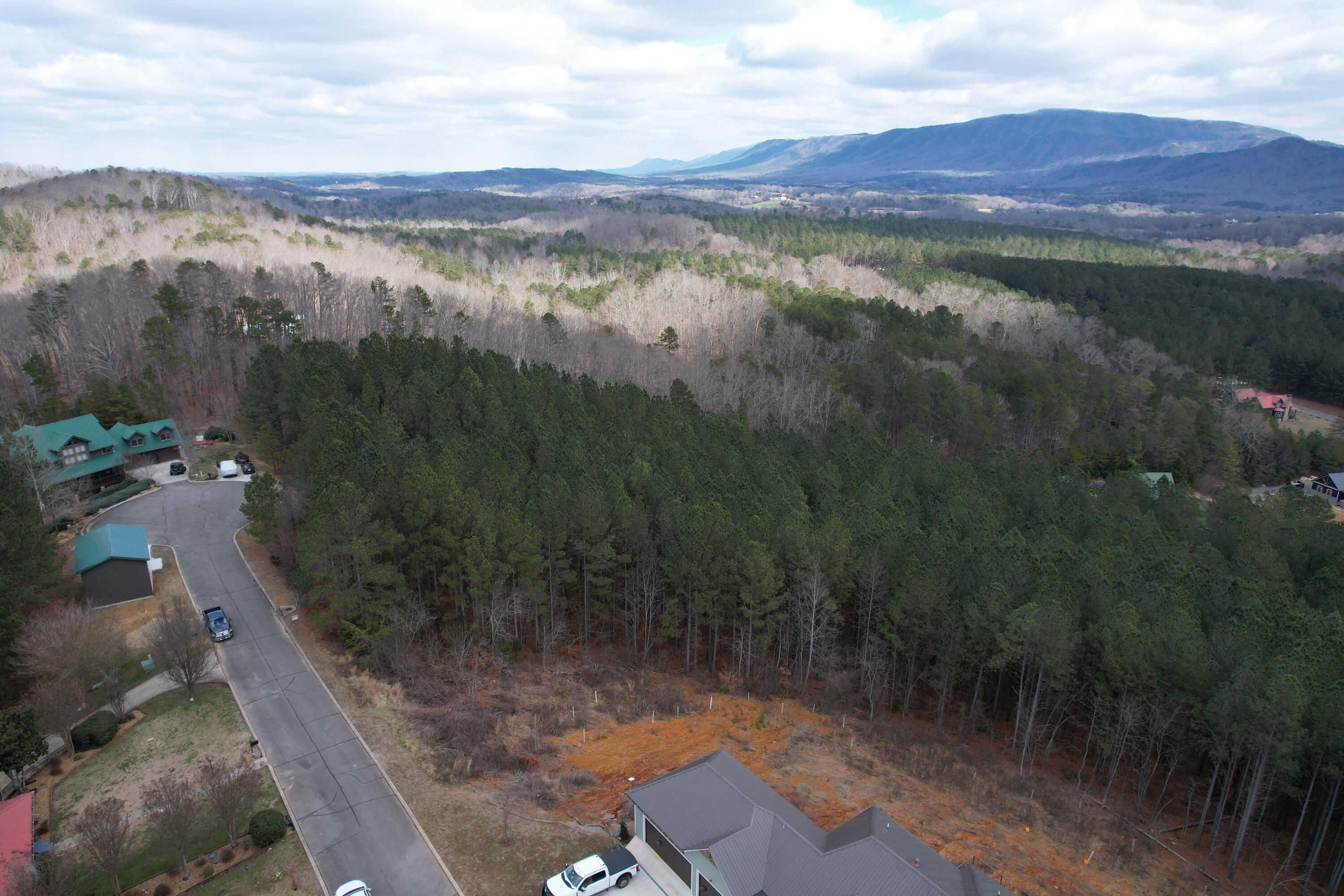 162 Cherokee Ridge Drive, Ocoee, Tennessee image 3