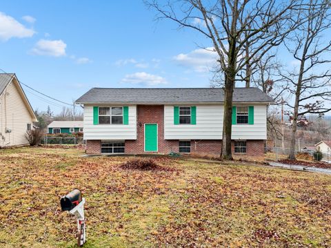Photo of 4102 Shady Oak Drive, Ooltewah, TN 37363 (MLS # 1528001)