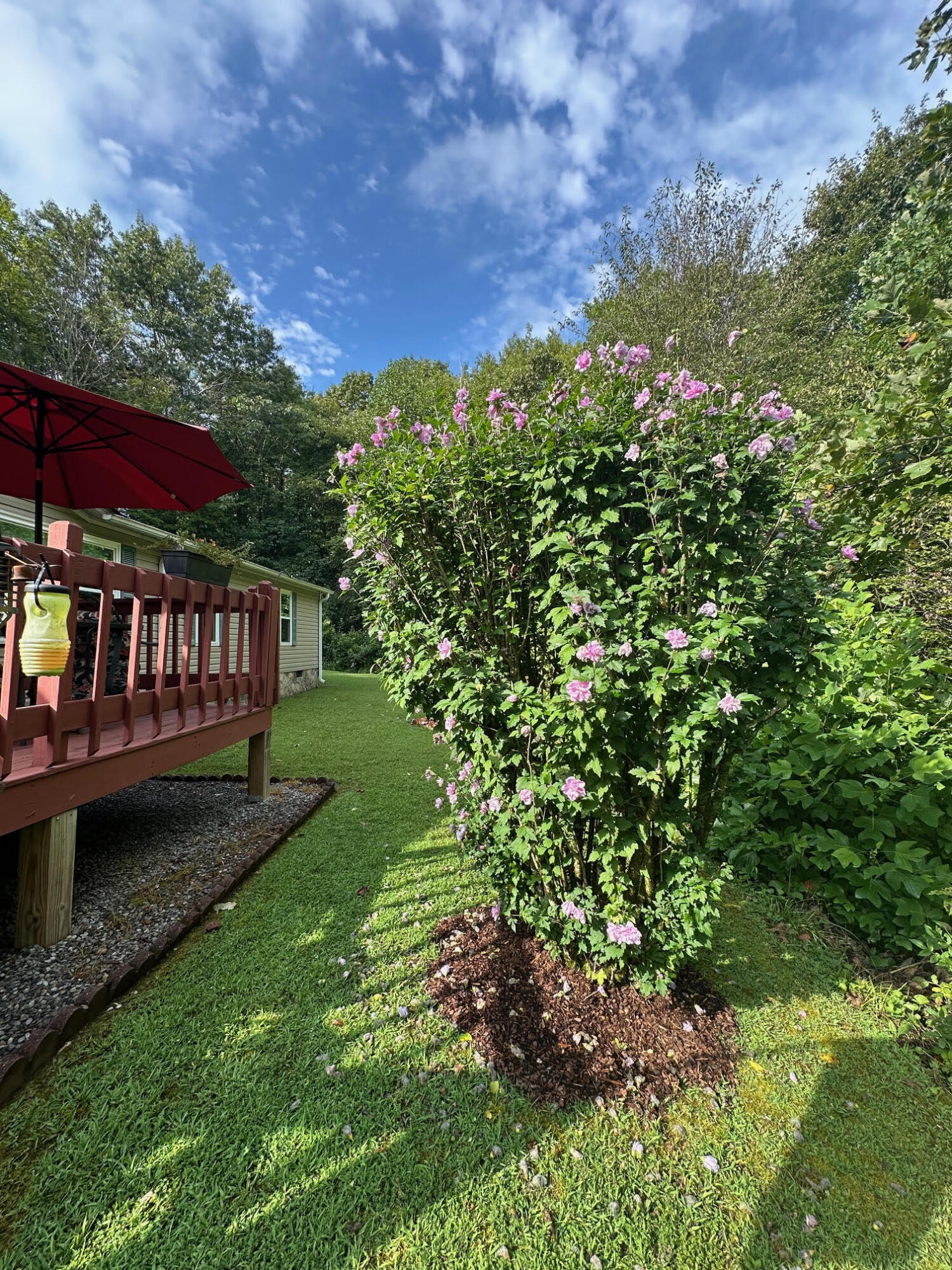 Graysville, Tennessee 37338, United States, 4 Bedrooms Bedrooms, ,3 BathroomsBathrooms,Residential,Active,212285