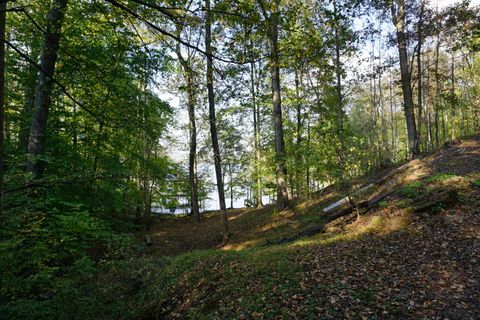 Tiny photo for Lot 31&32 Cherokee Circle Circle, Ten Mile, TN 37880 (MLS # 1528611)