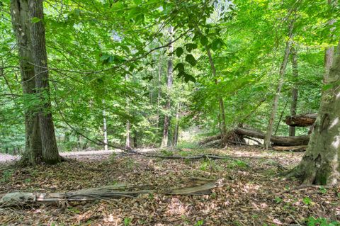 Tiny photo for Lot 31&32 Cherokee Circle Circle, Ten Mile, TN 37880 (MLS # 1528611)