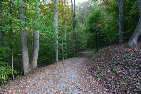 Tiny photo for Lot 31&32 Cherokee Circle Circle, Ten Mile, TN 37880 (MLS # 1528611)