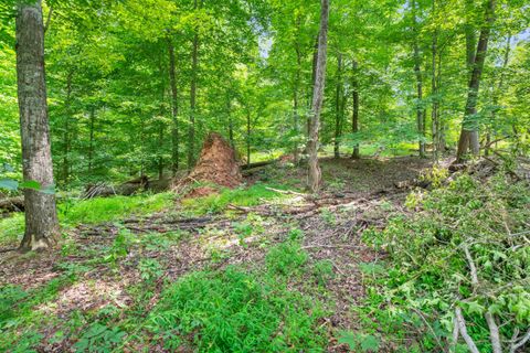 Tiny photo for Lot 31&32 Cherokee Circle Circle, Ten Mile, TN 37880 (MLS # 1528611)