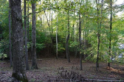 Tiny photo for Lot 31&32 Cherokee Circle Circle, Ten Mile, TN 37880 (MLS # 1528611)