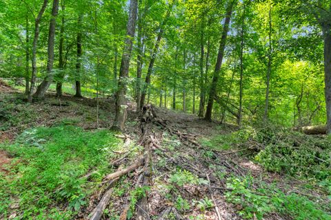 Tiny photo for Lot 31&32 Cherokee Circle Circle, Ten Mile, TN 37880 (MLS # 1528611)