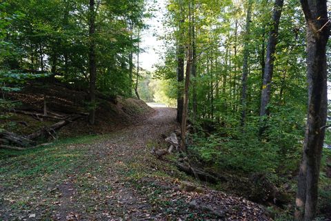 Tiny photo for Lot 31&32 Cherokee Circle Circle, Ten Mile, TN 37880 (MLS # 1528611)