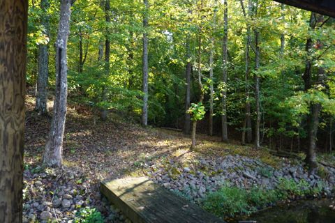 Tiny photo for Lot 31&32 Cherokee Circle Circle, Ten Mile, TN 37880 (MLS # 1528611)