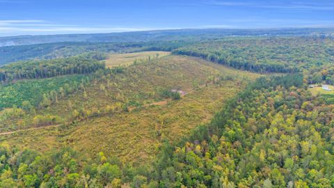 Tiny photo for 30 Ac Worley Road, Soddy Daisy, TN 37379 (MLS # 1522099)