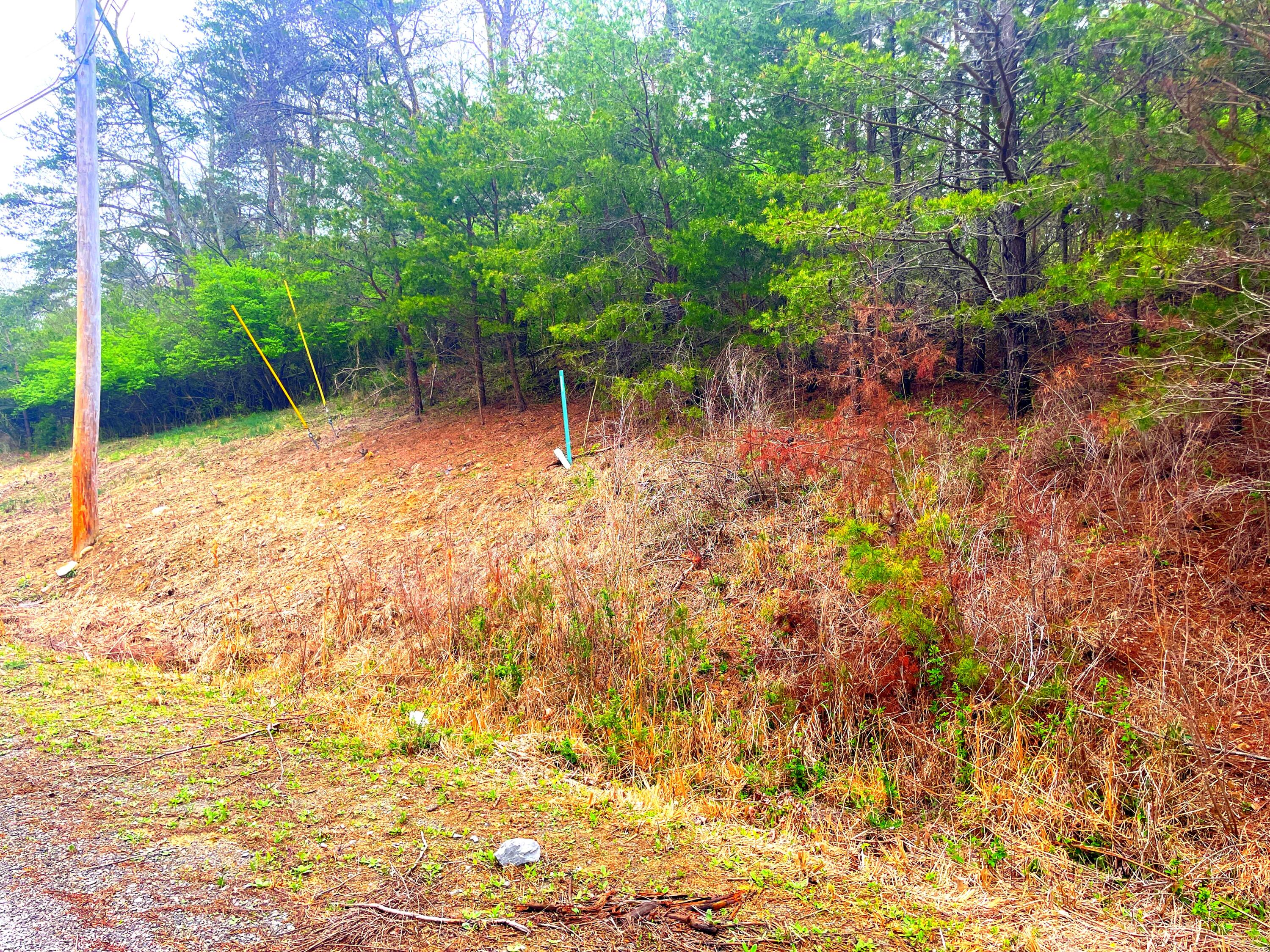 Lot 168 Teludachee Trail, South Pittsburg, Tennessee image 15