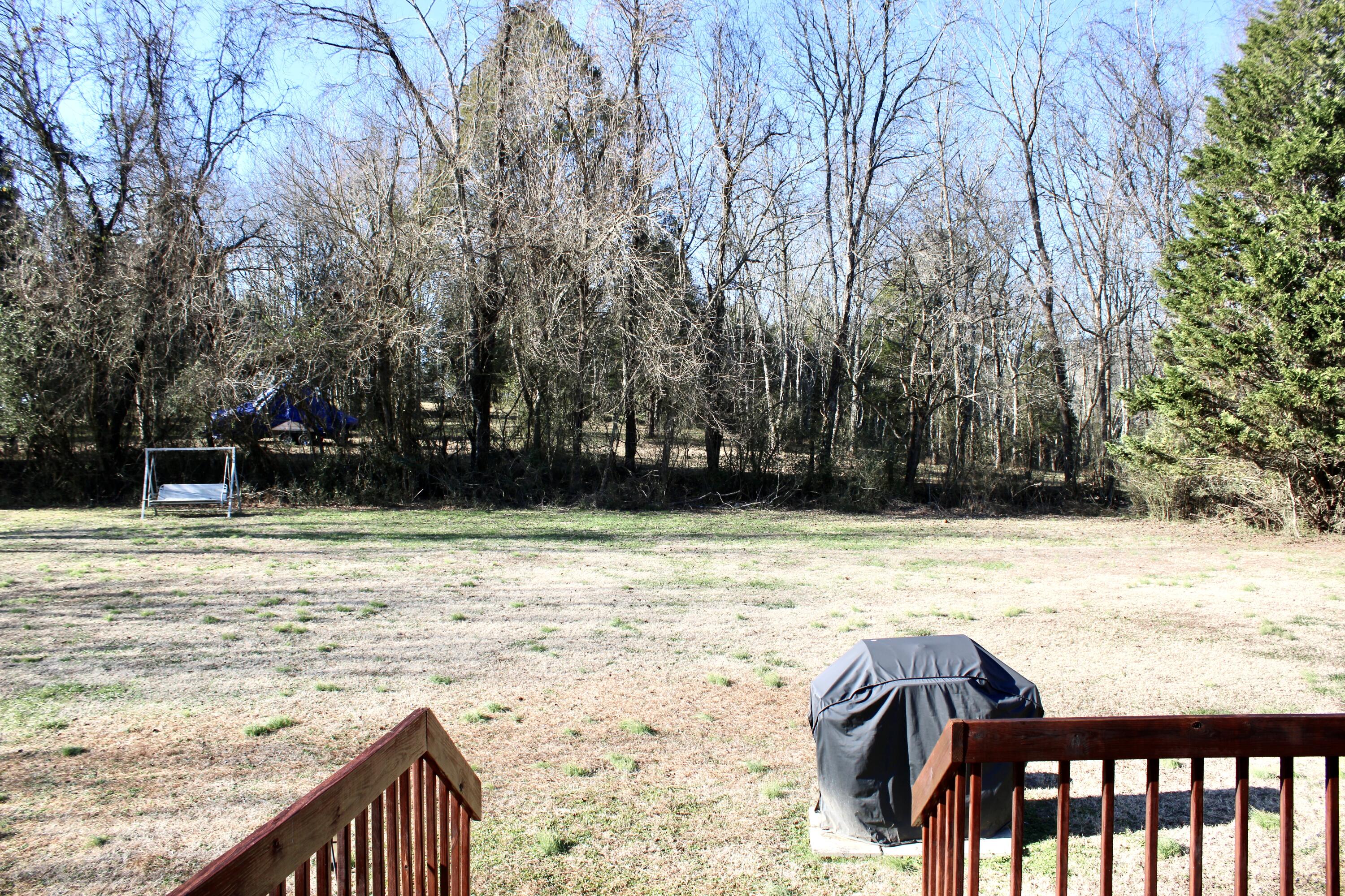 220 Lenore Lane, Spring City, Tennessee image 5