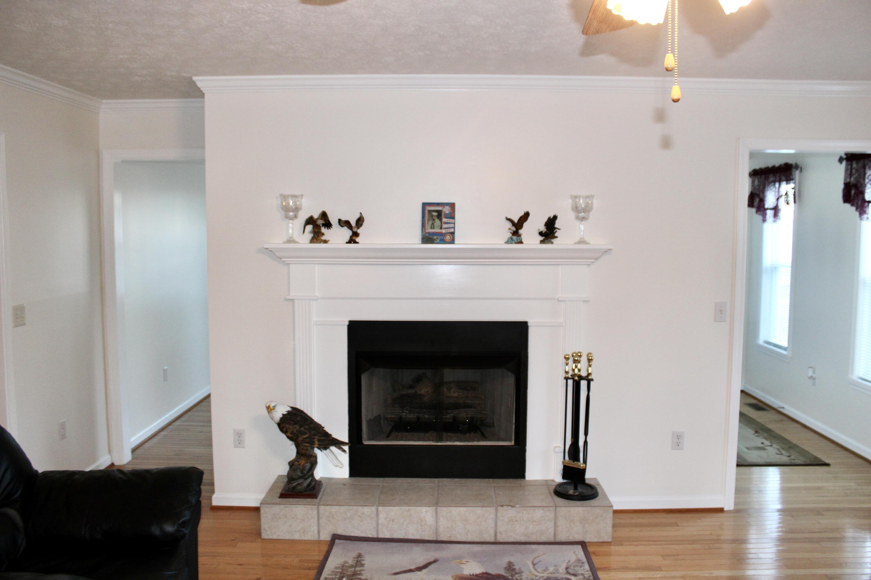 220 Lenore Lane, Spring City, Tennessee image 12