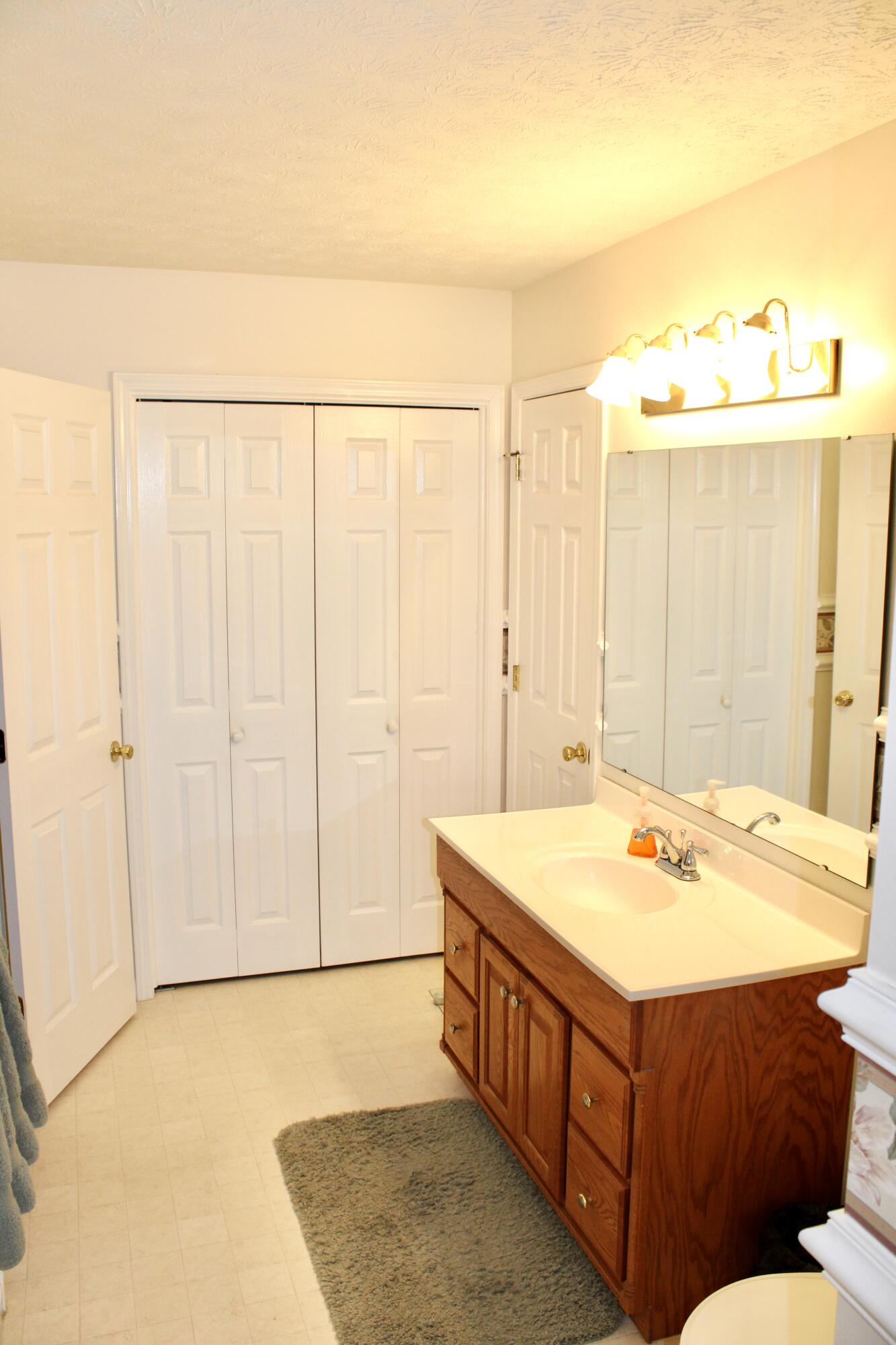 220 Lenore Lane, Spring City, Tennessee image 20