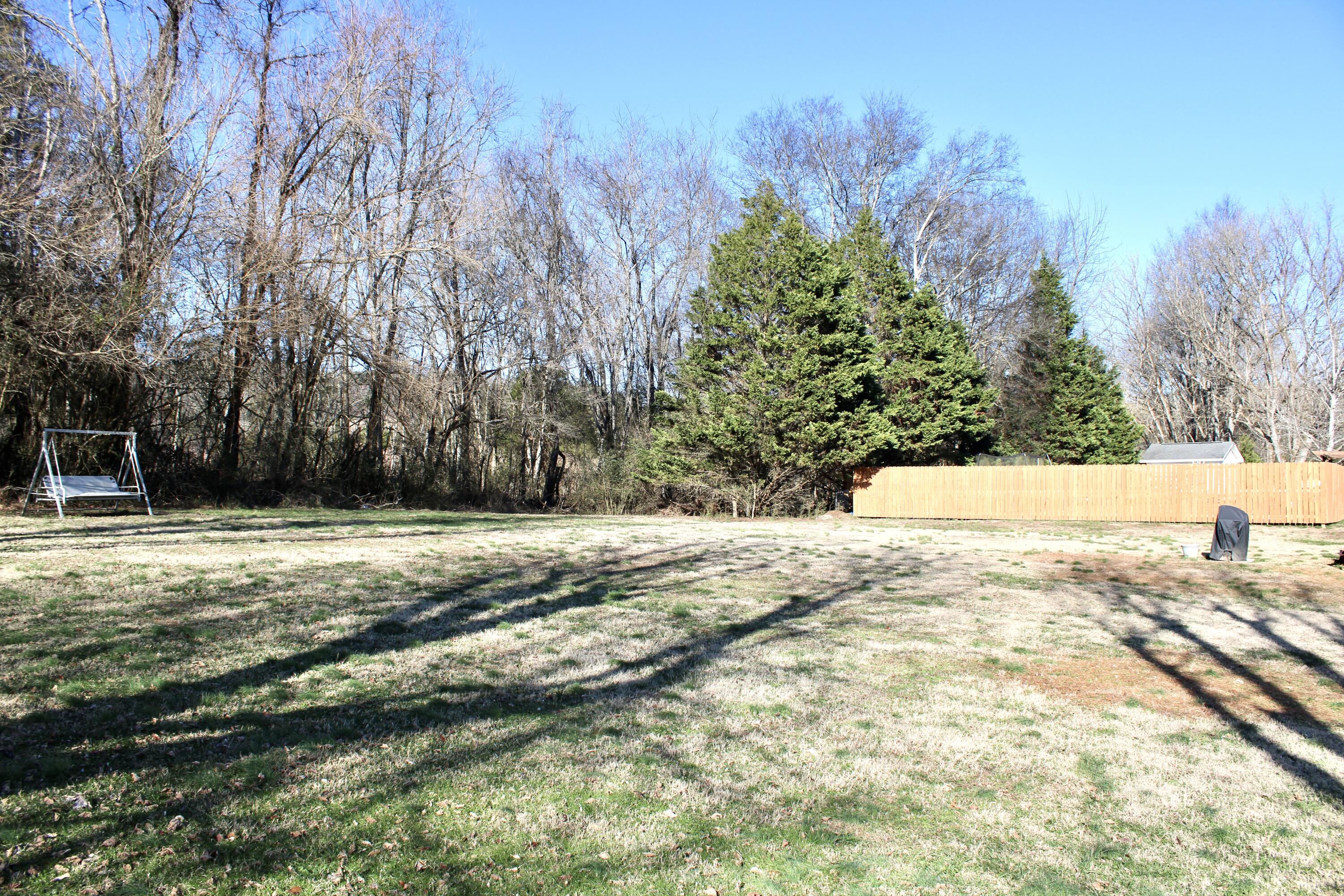 220 Lenore Lane, Spring City, Tennessee image 4