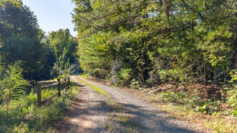 Photo of 0 Flagpole Road, Ellijay, GA 30540 (MLS # 1544070)