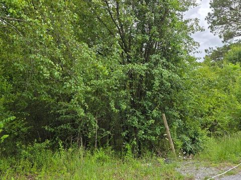 Photo of 00 County Road, Riceville, TN 37370 (MLS # 1512445)