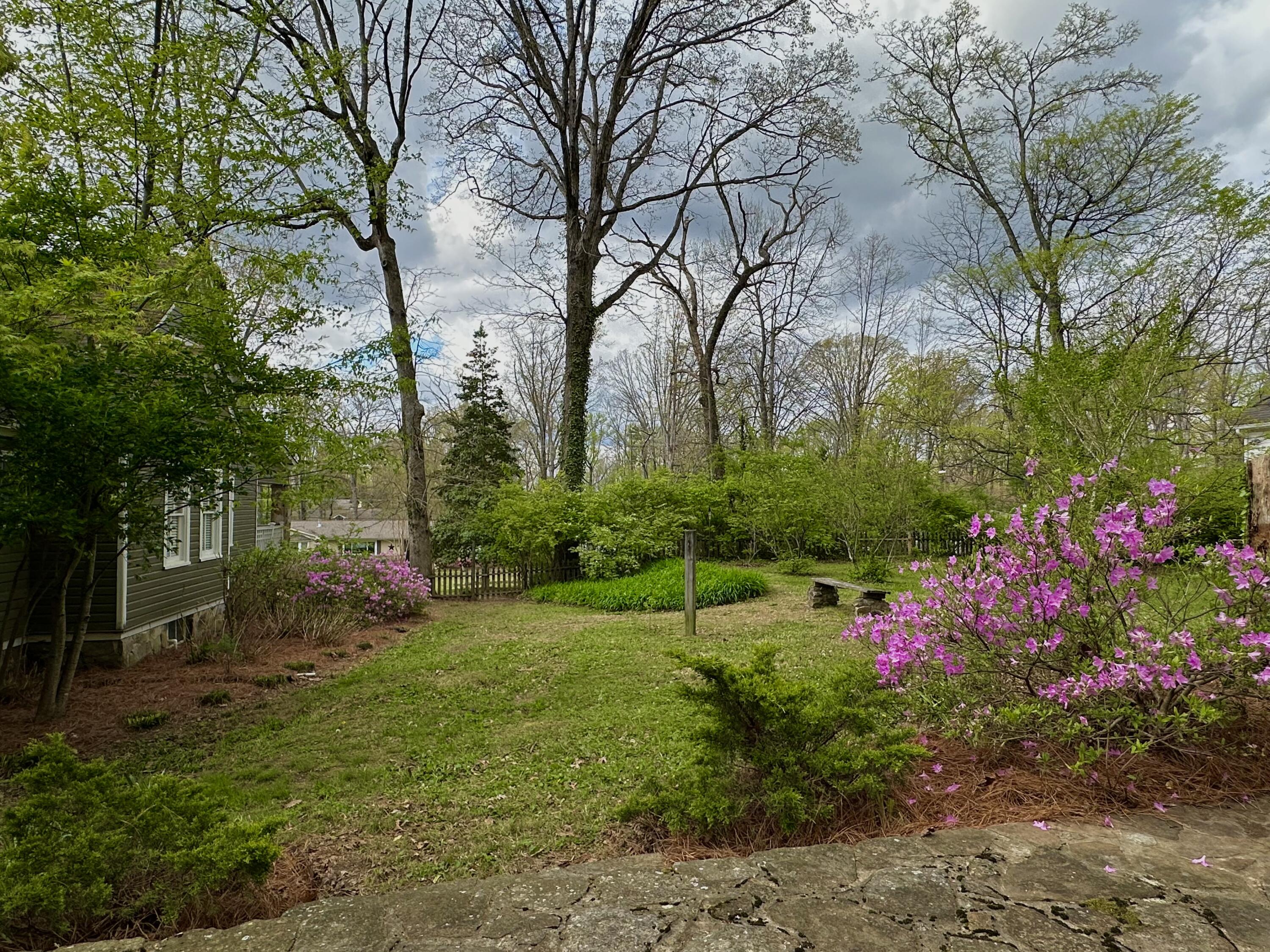 608 Texas Avenue, Signal Mountain, Tennessee image 5