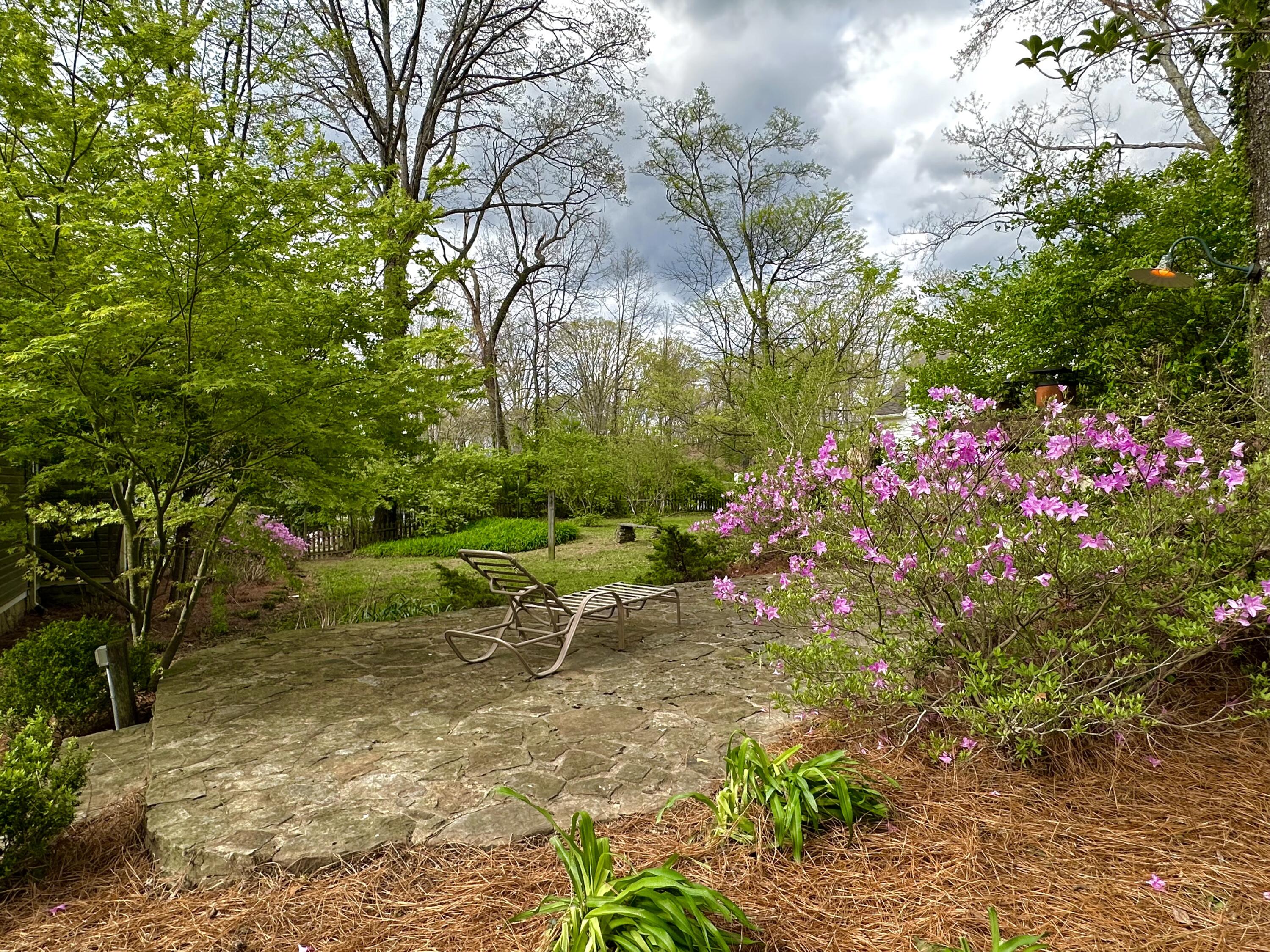 608 Texas Avenue, Signal Mountain, Tennessee image 24