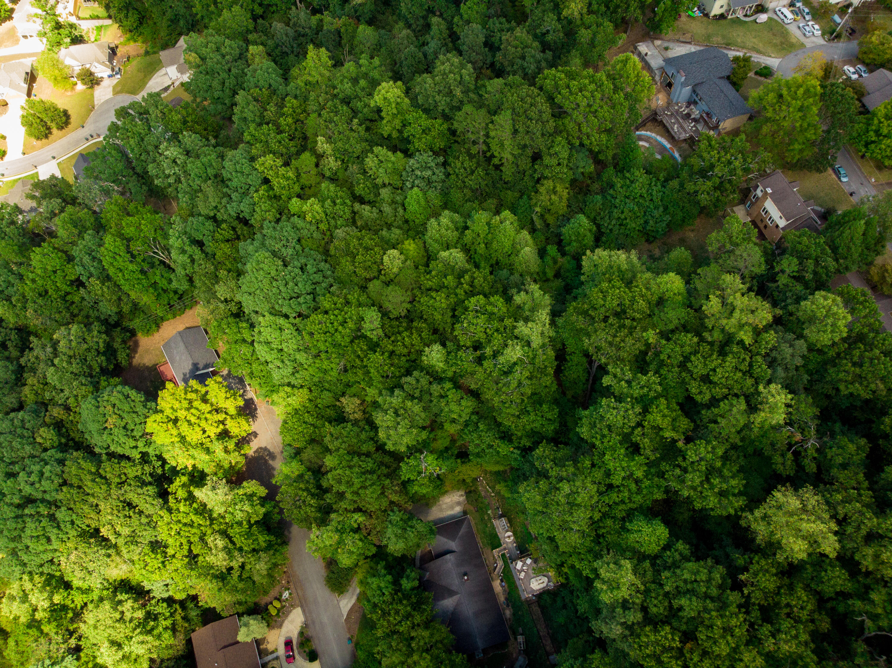 1720 Spring View Lane, Chattanooga, Tennessee image 18