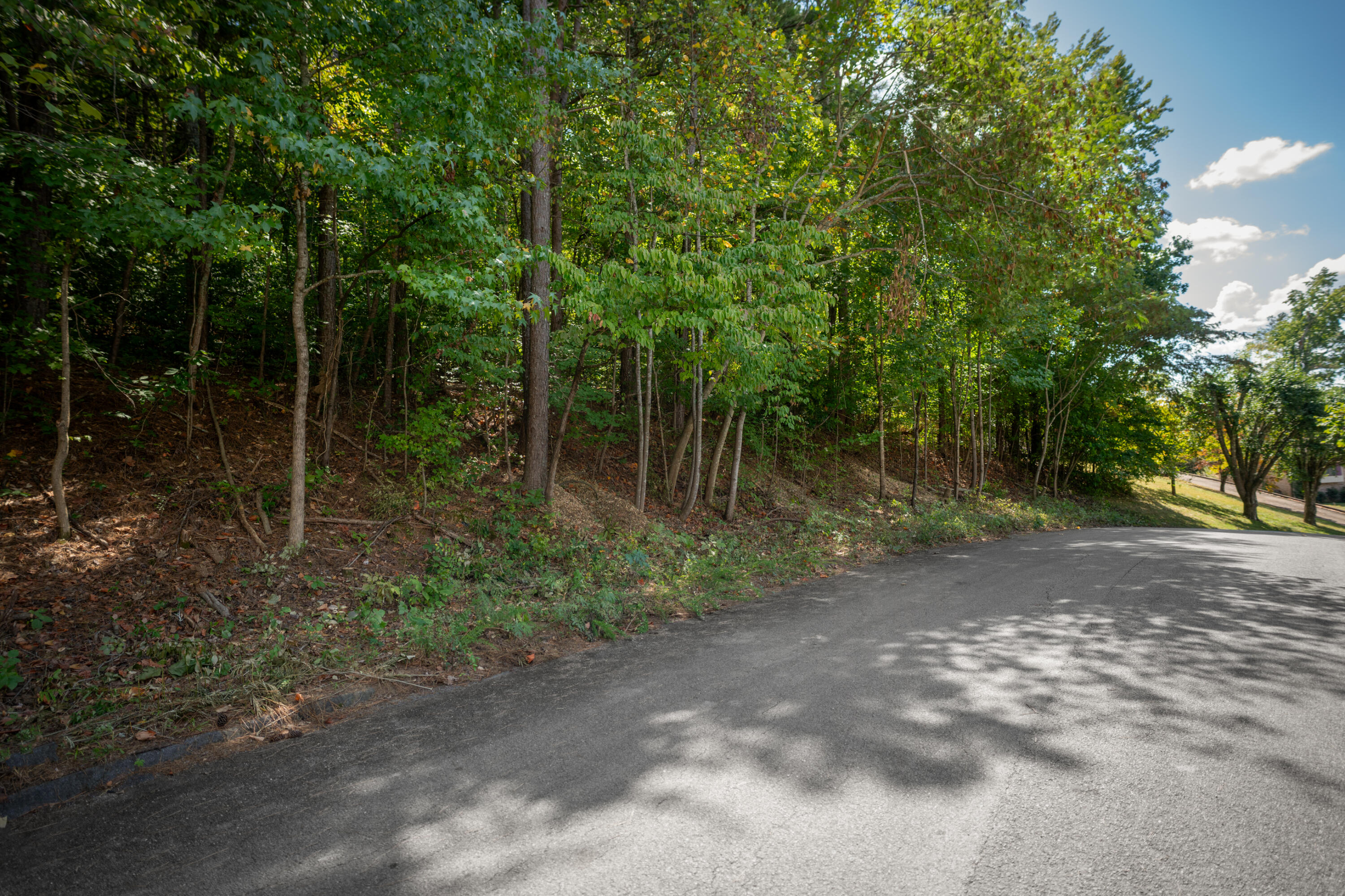 1720 Spring View Lane, Chattanooga, Tennessee image 5