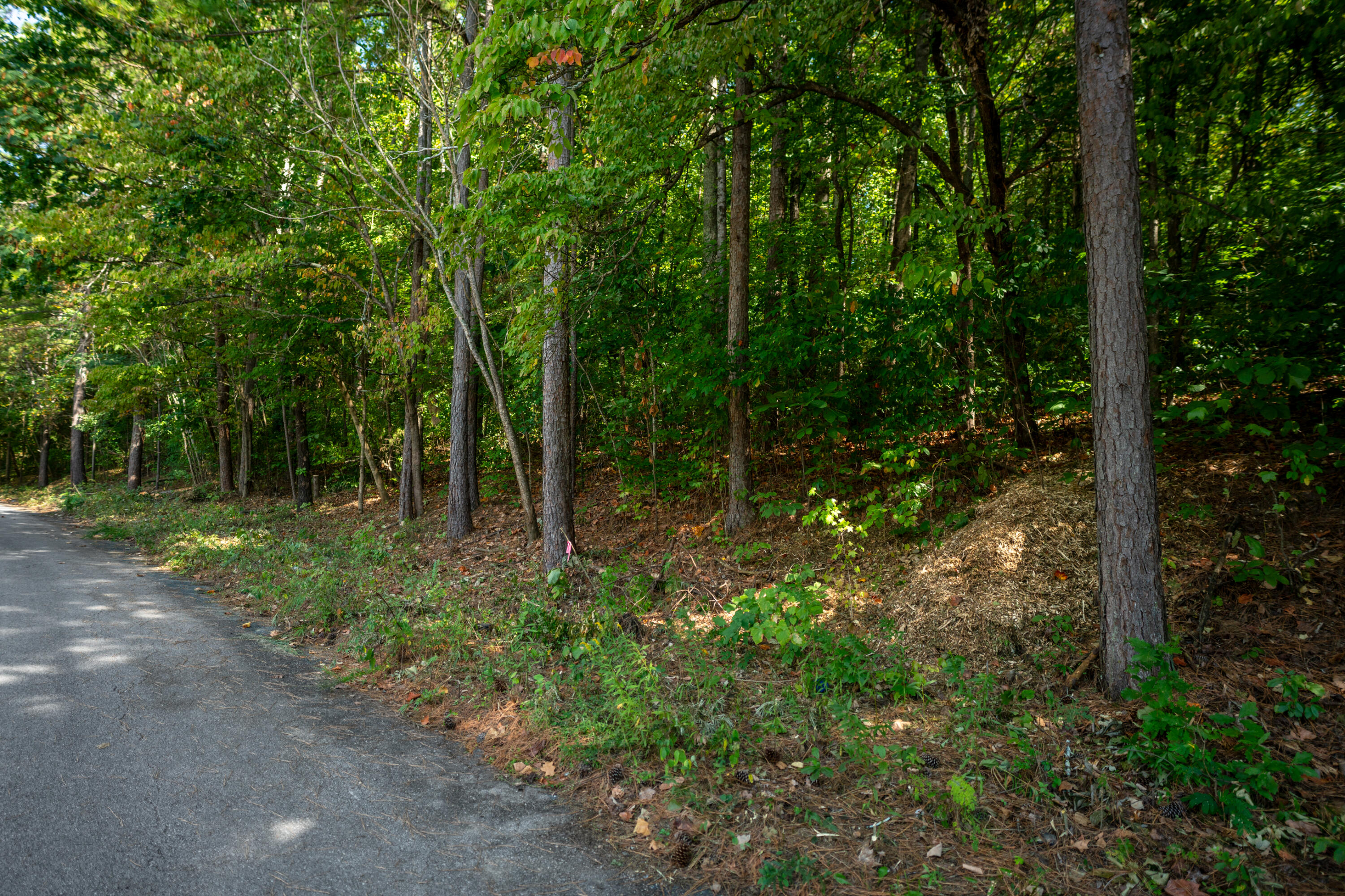 1720 Spring View Lane, Chattanooga, Tennessee image 7