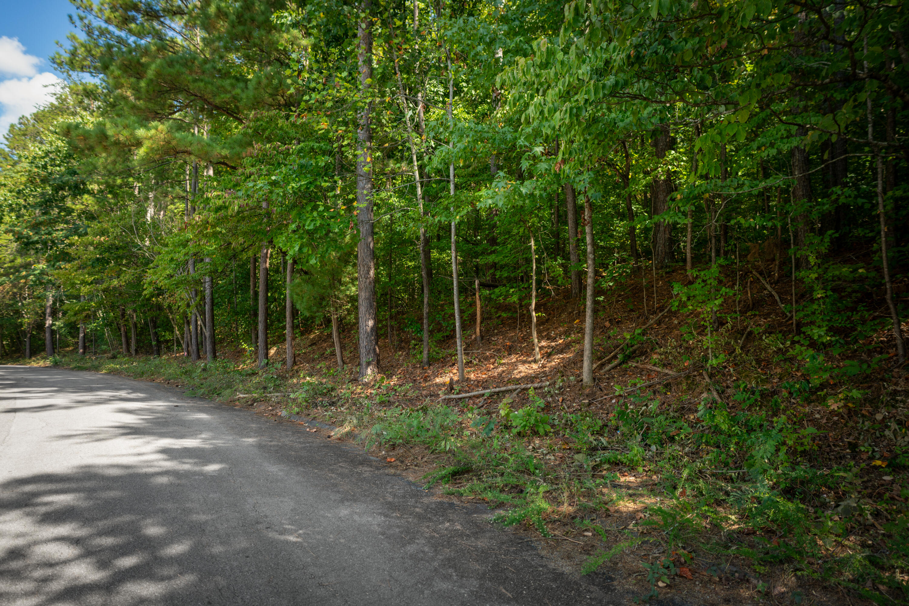 1720 Spring View Lane, Chattanooga, Tennessee image 6