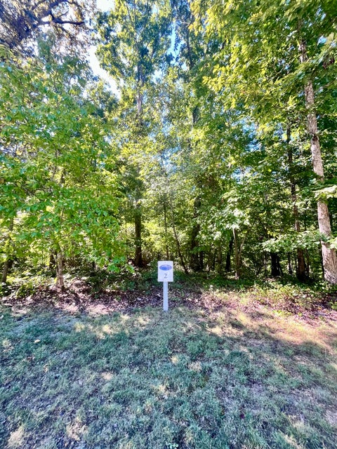 Vacant Land For Sale - 363 Ridgeway Pass<br/> Rhea County, Spring City, TN 37381