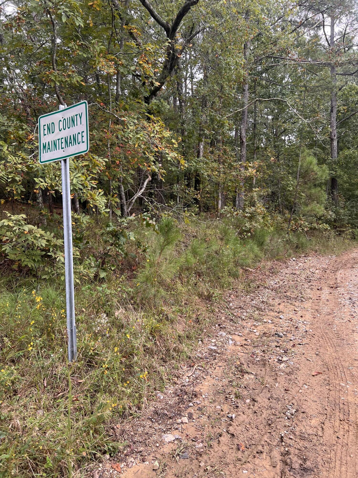 00 County Road #520, Mentone, Alabama image 5