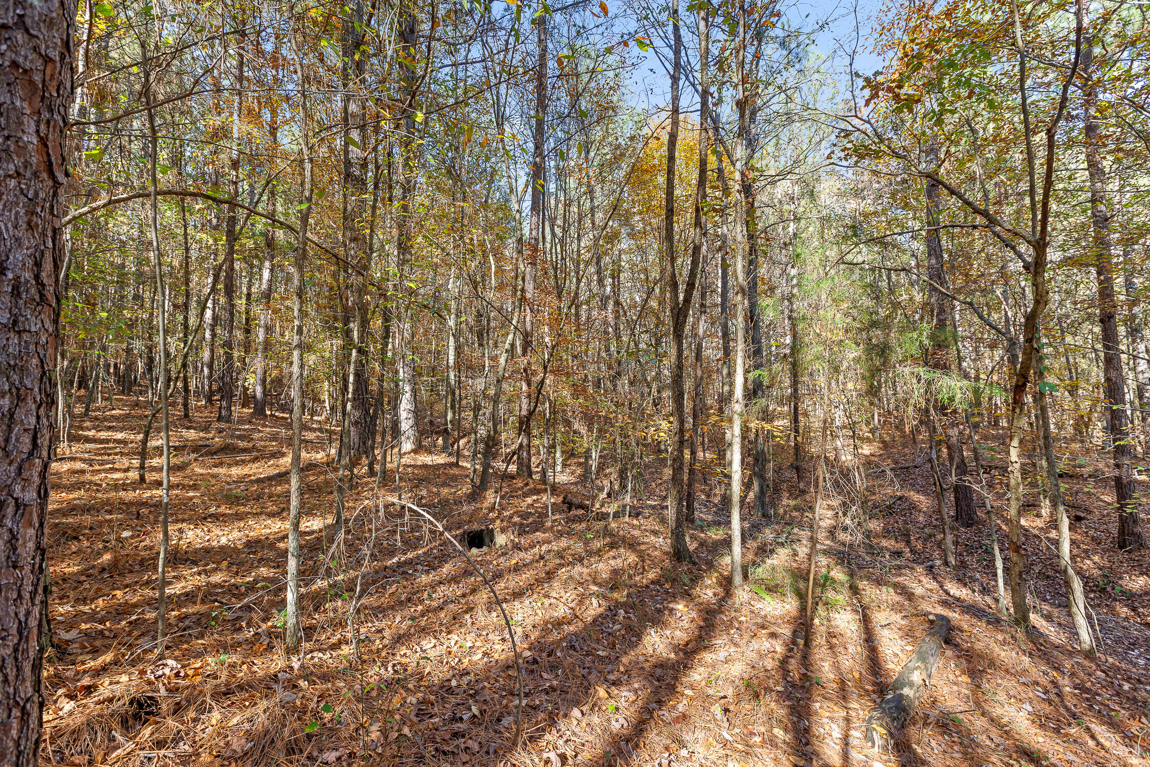 McDonald, Tennessee 37353, United States, ,Land,Contingent,32615