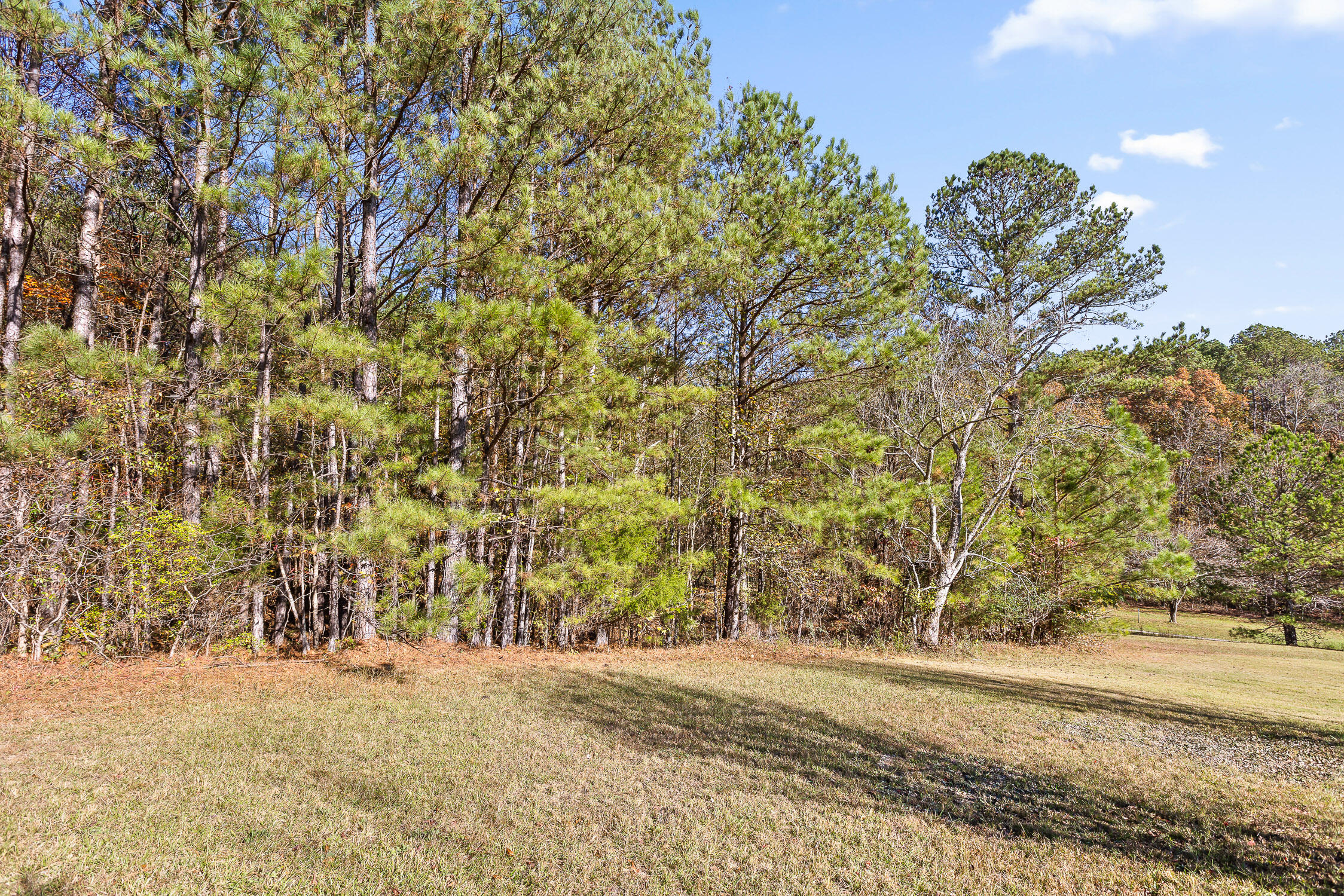 McDonald, Tennessee 37353, United States, ,Land,Contingent,32615