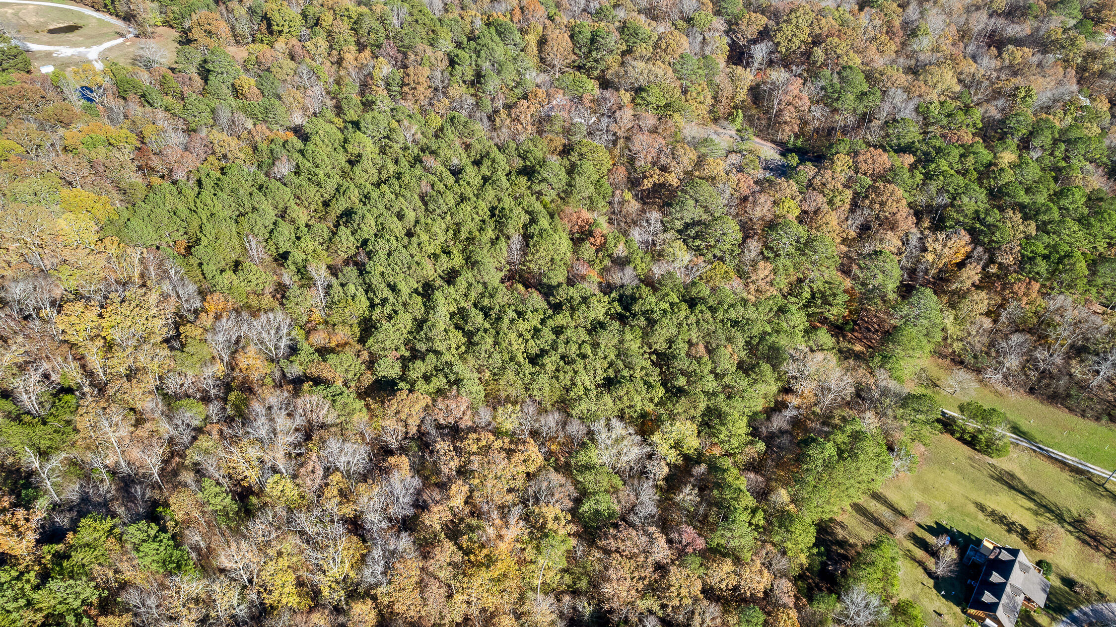 McDonald, Tennessee 37353, United States, ,Land,Contingent,32615