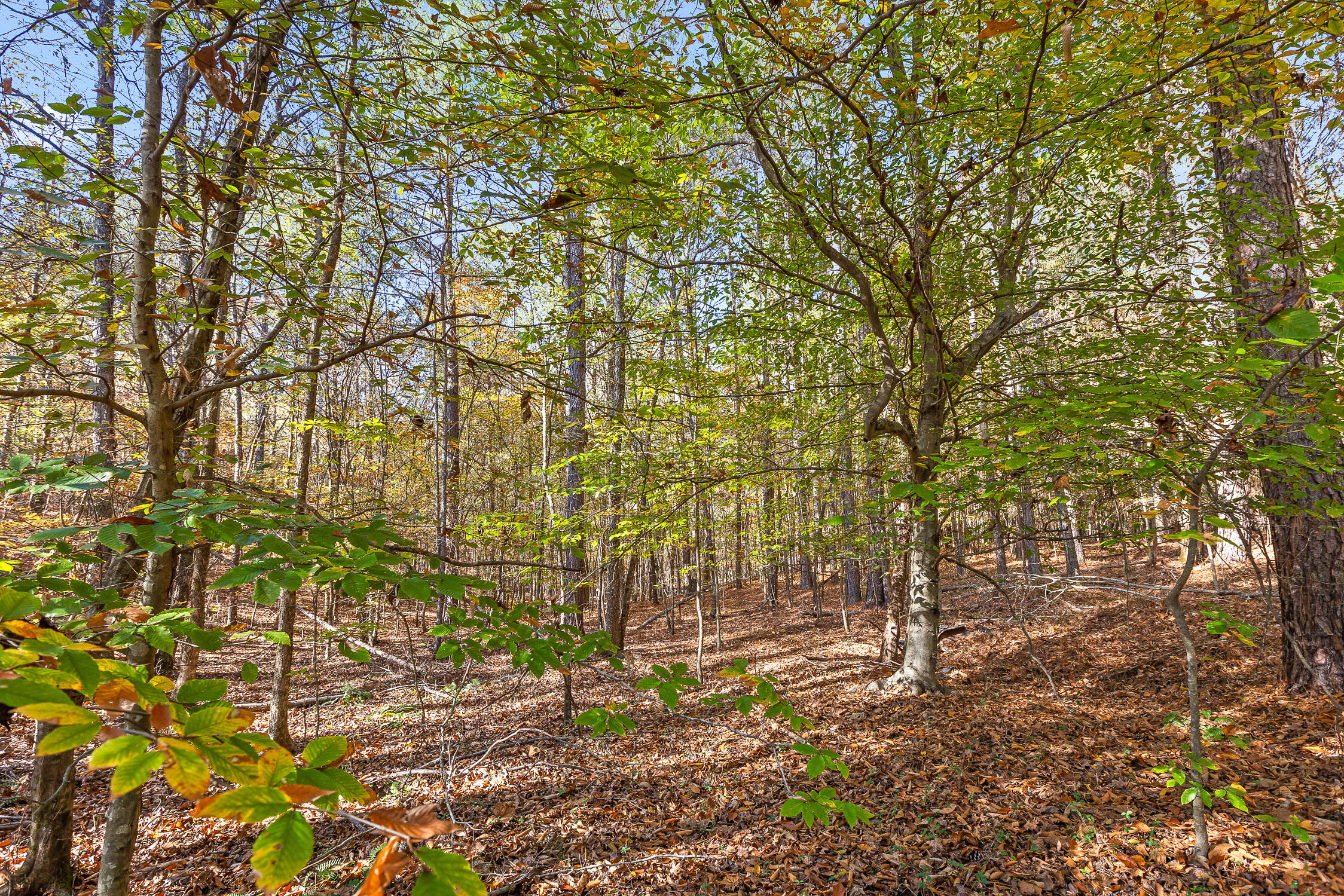 McDonald, Tennessee 37353, United States, ,Land,Contingent,32615