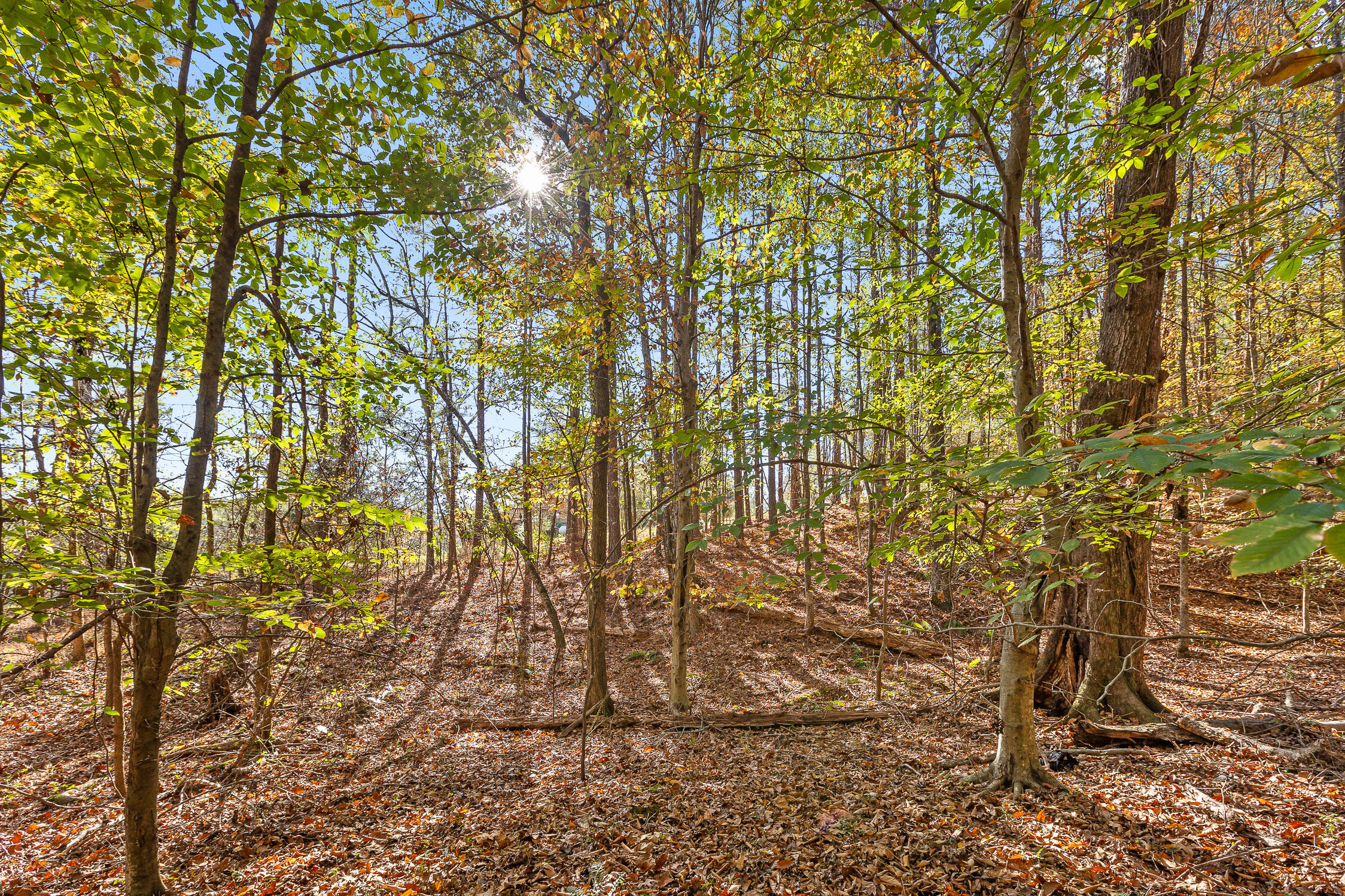 McDonald, Tennessee 37353, United States, ,Land,Contingent,32615