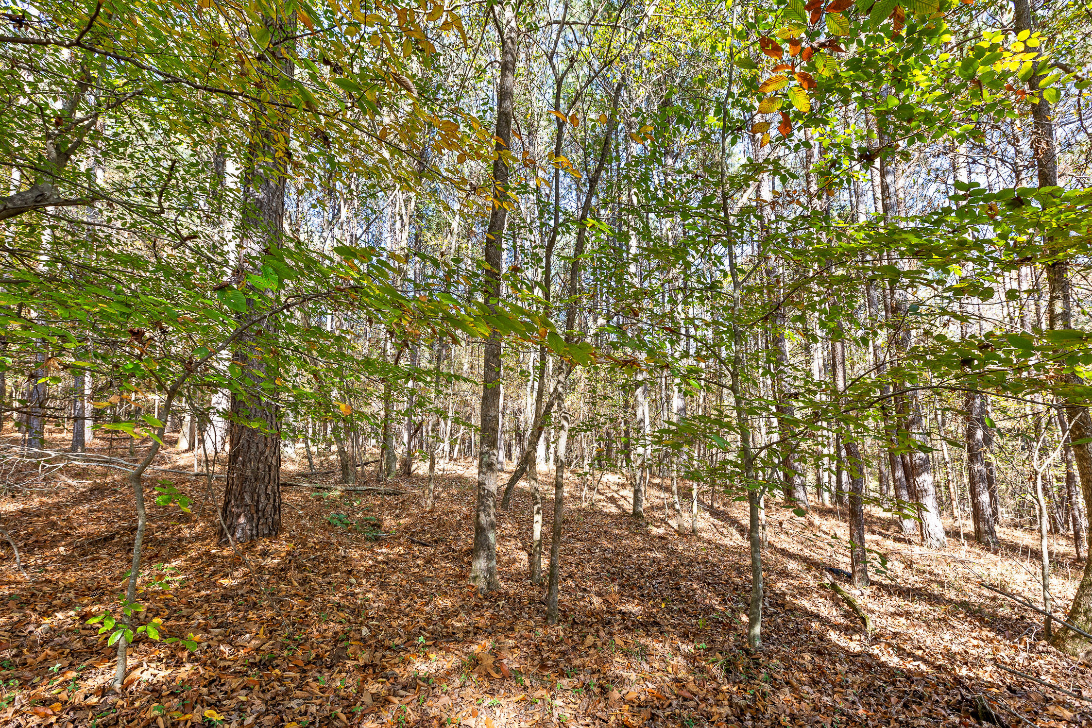 McDonald, Tennessee 37353, United States, ,Land,Contingent,32615