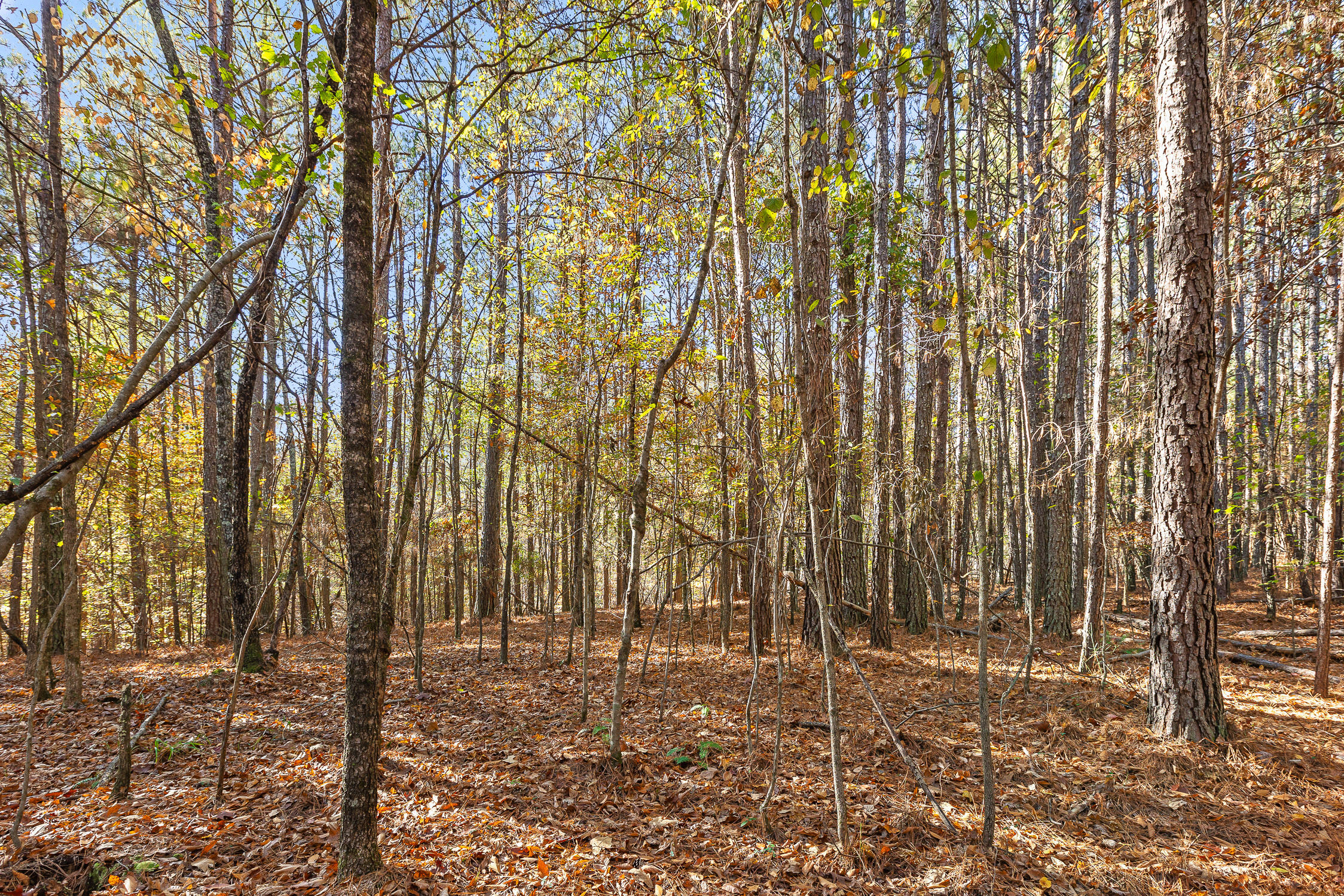 McDonald, Tennessee 37353, United States, ,Land,Contingent,32615