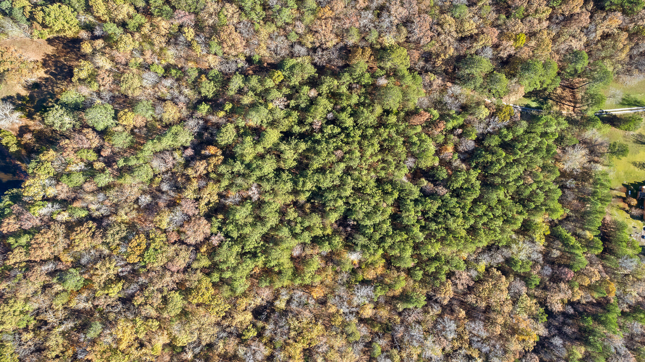 McDonald, Tennessee 37353, United States, ,Land,Contingent,32615