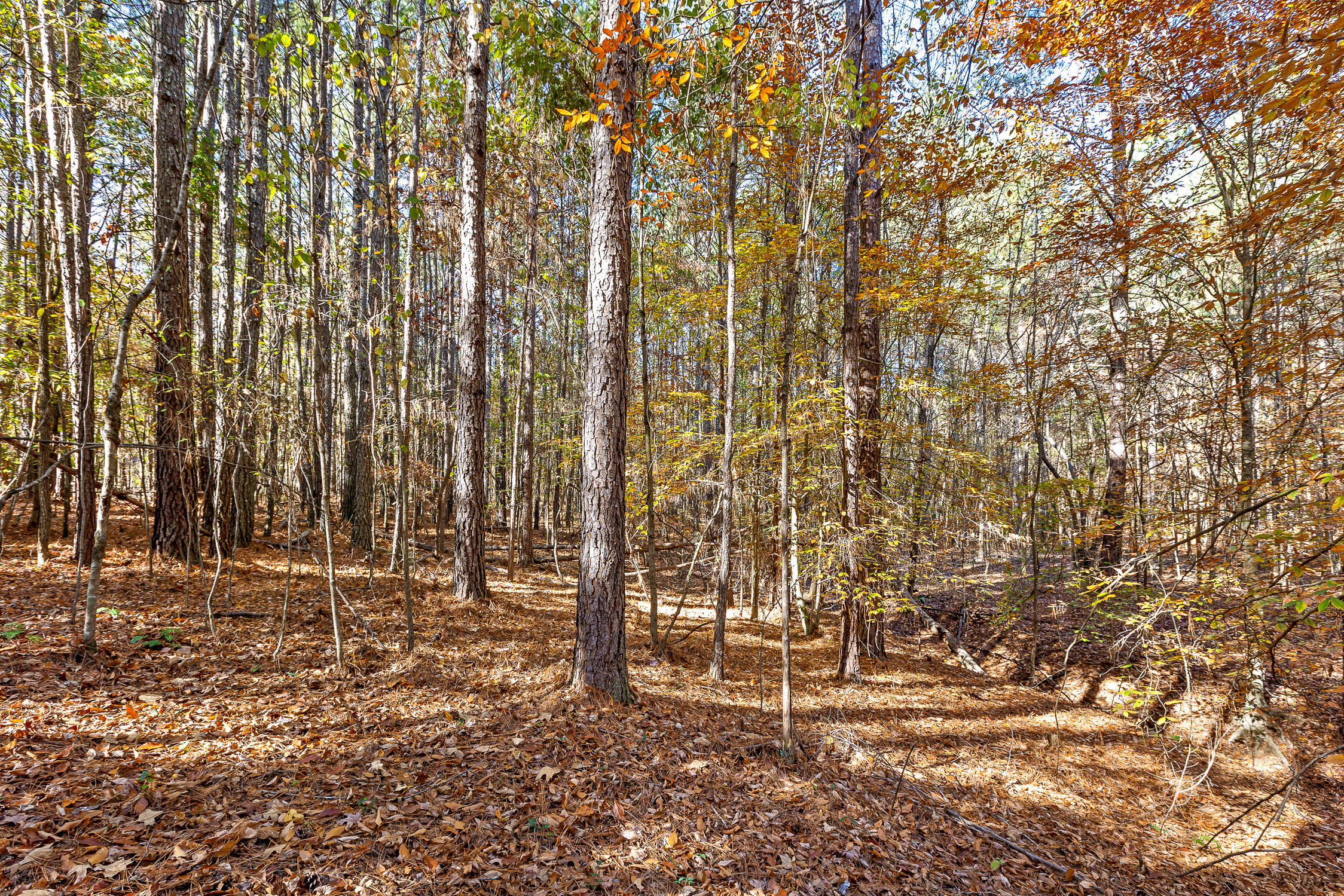 McDonald, Tennessee 37353, United States, ,Land,Contingent,32615