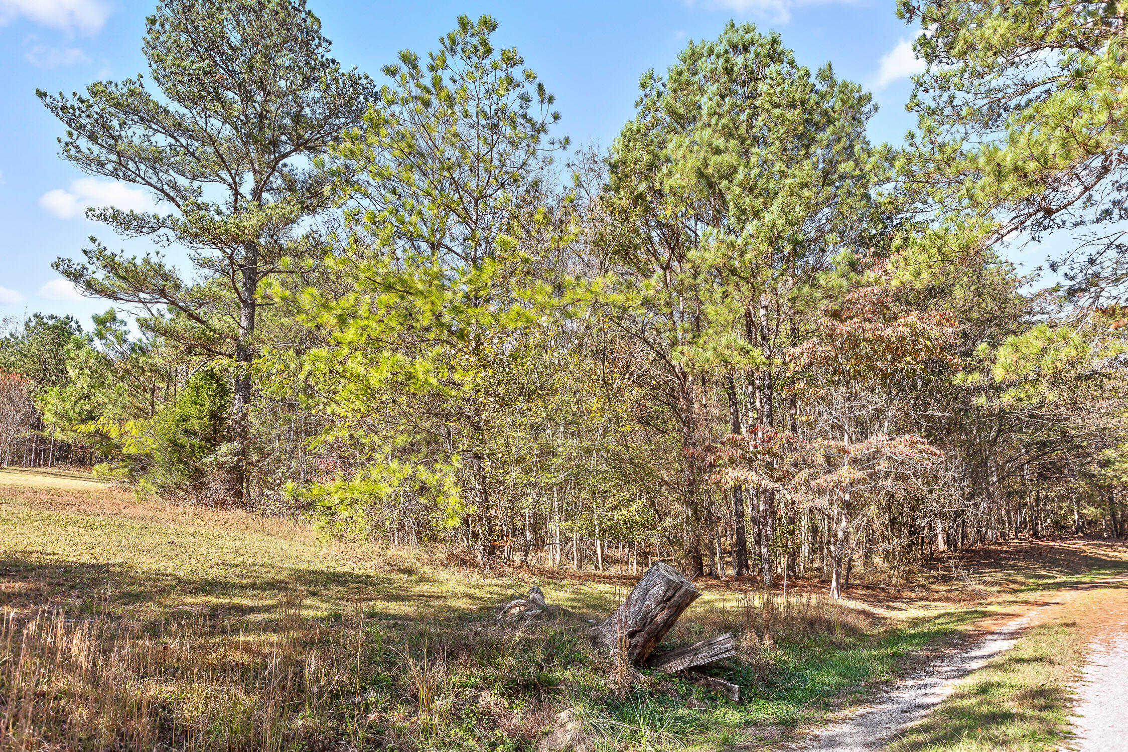 McDonald, Tennessee 37353, United States, ,Land,Contingent,32615