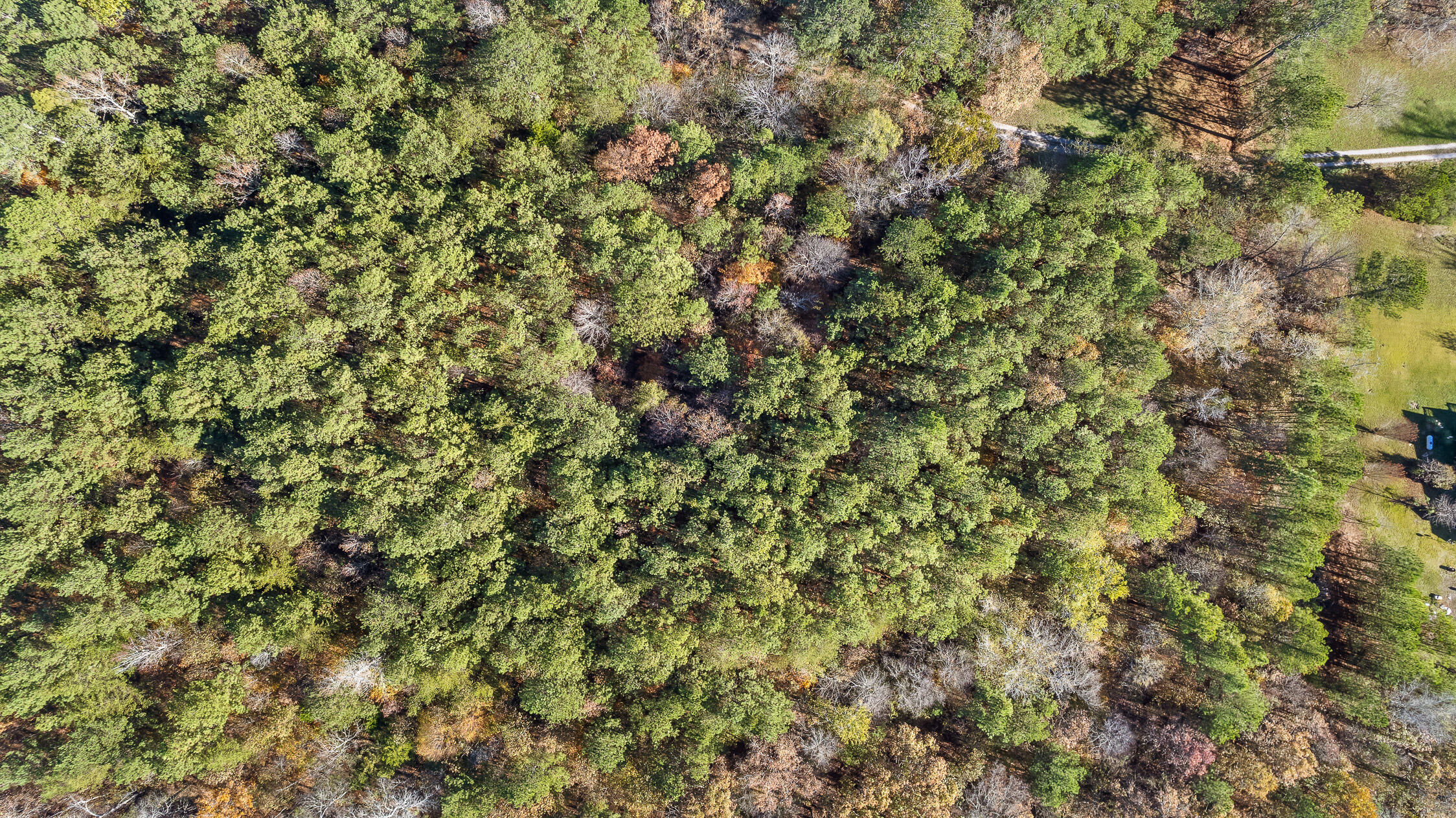 McDonald, Tennessee 37353, United States, ,Land,Contingent,32615