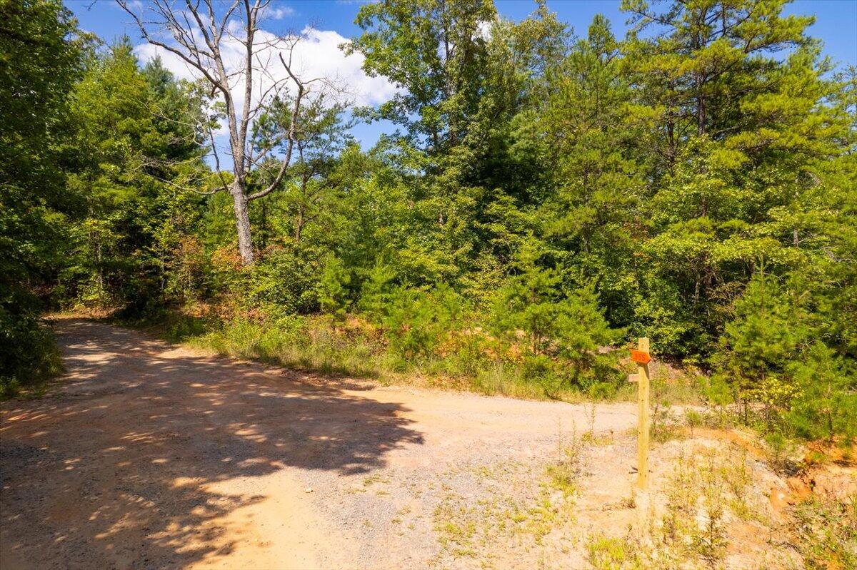 Calvender Road #LOT 50, Turtletown, Tennessee image 23