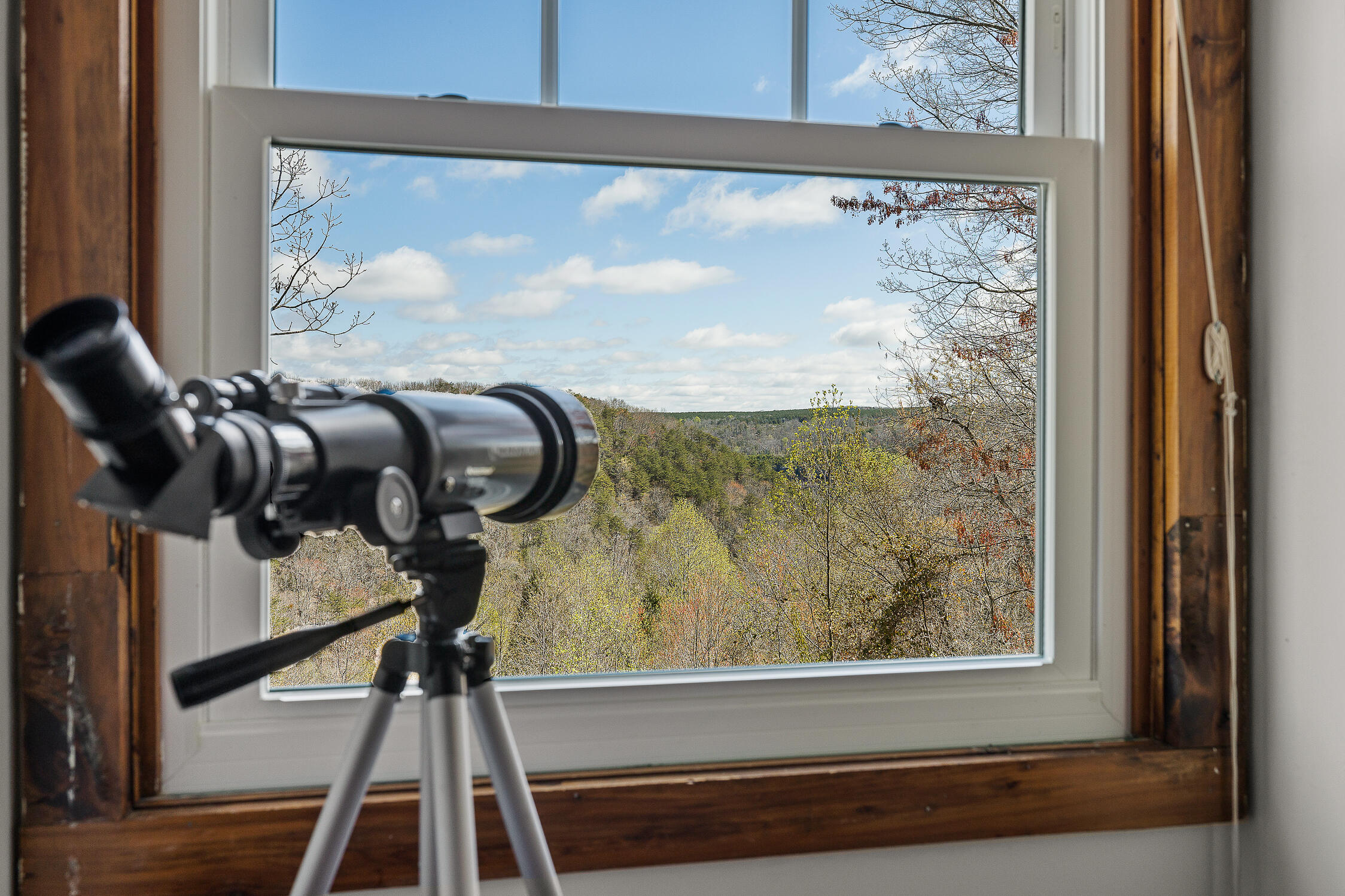 2318 Little Bend Road, Signal Mountain, Tennessee image 29