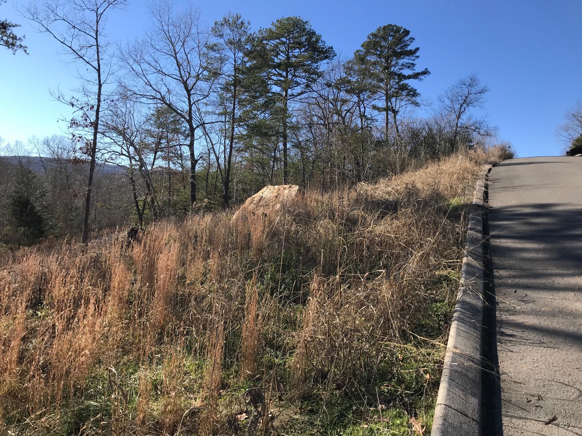 27 Hidden Ridge Loop #27, Dunlap, Tennessee image 5