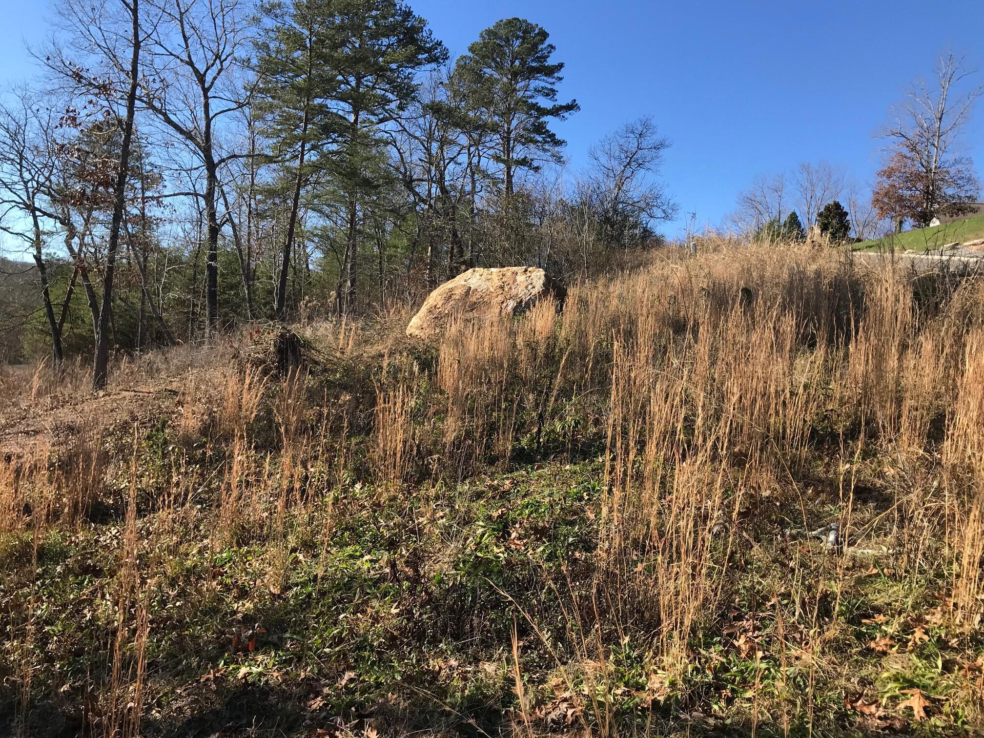 27 Hidden Ridge Loop #27, Dunlap, Tennessee image 7